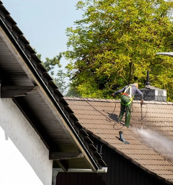 1. Revitalizing an Aging Roof